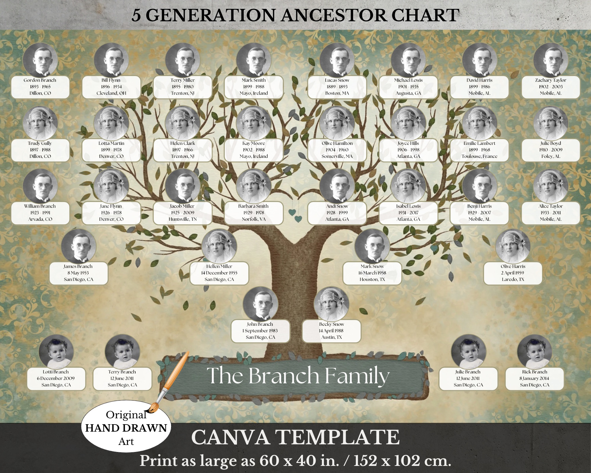 5 generation family tree chart with portraits