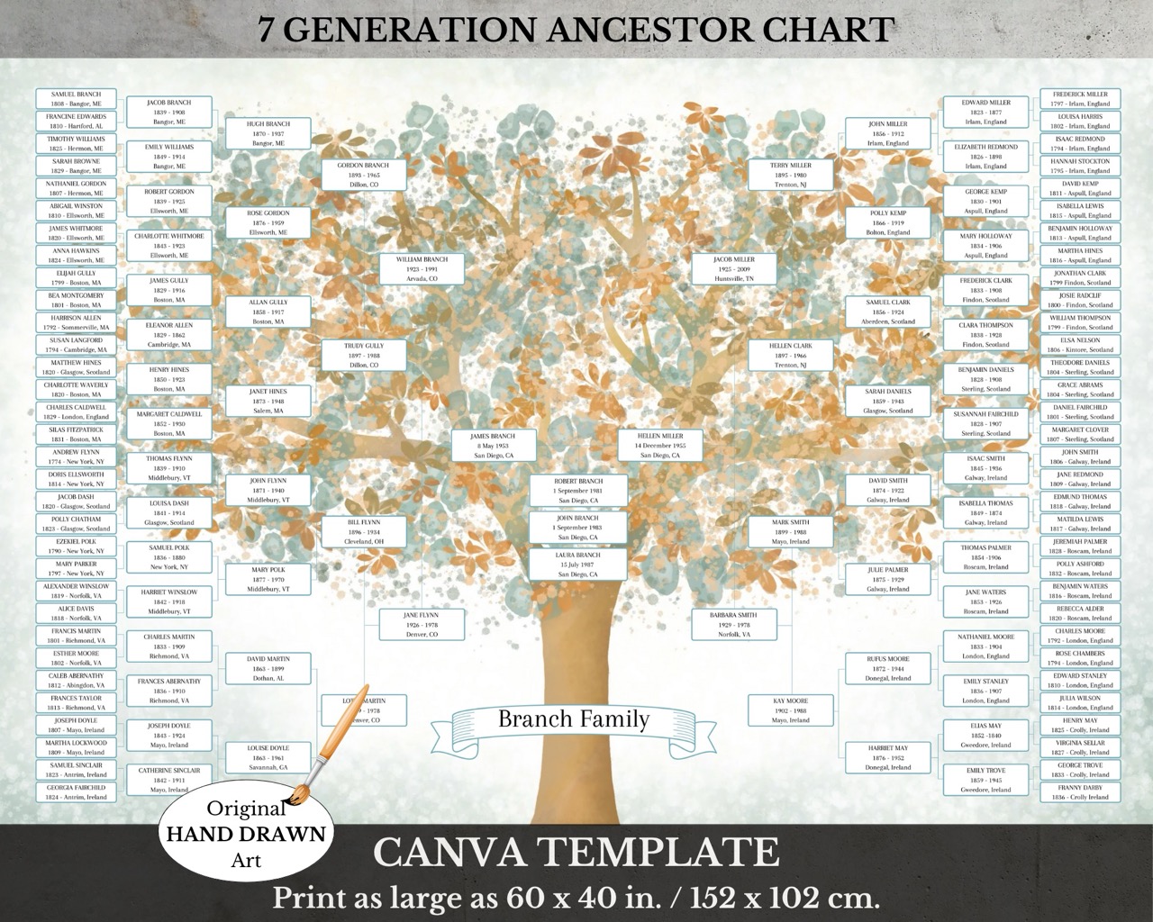 7 Generation Genealogy Canva Chart