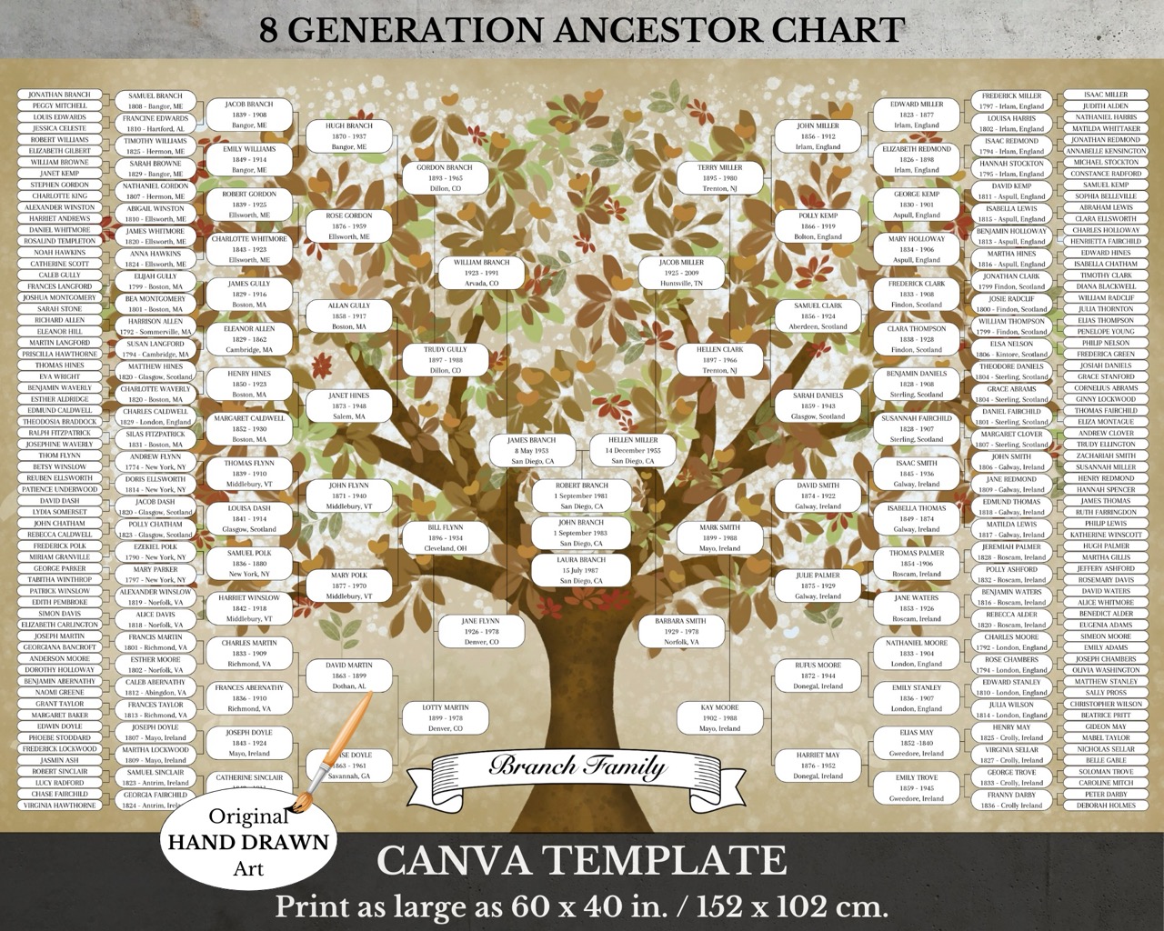 8 Generation Family Pedigree