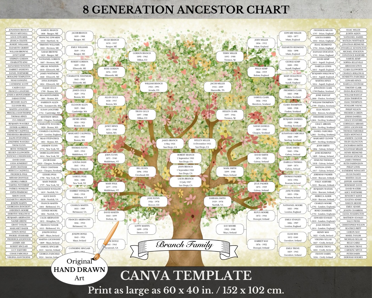 8 Generation Family Tree Canva
