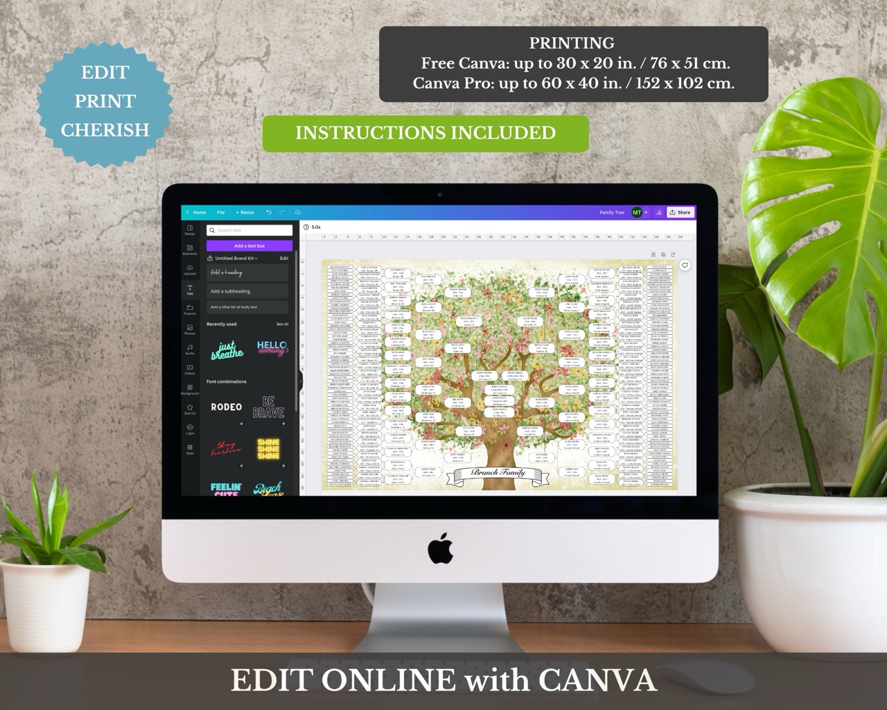 8 Generation Family Tree Canva