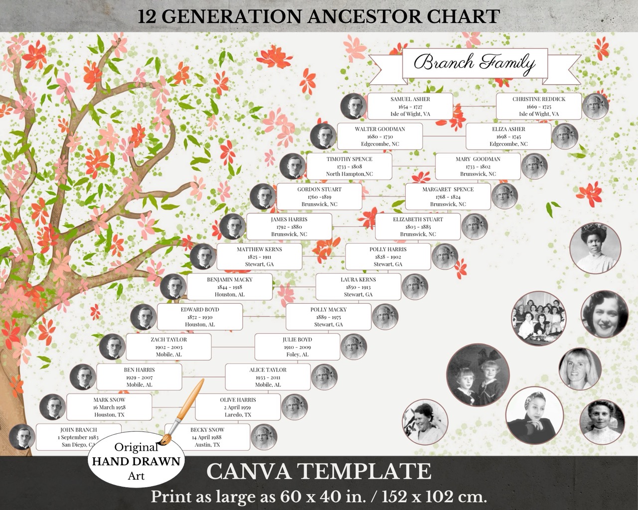 Surname Family Tree