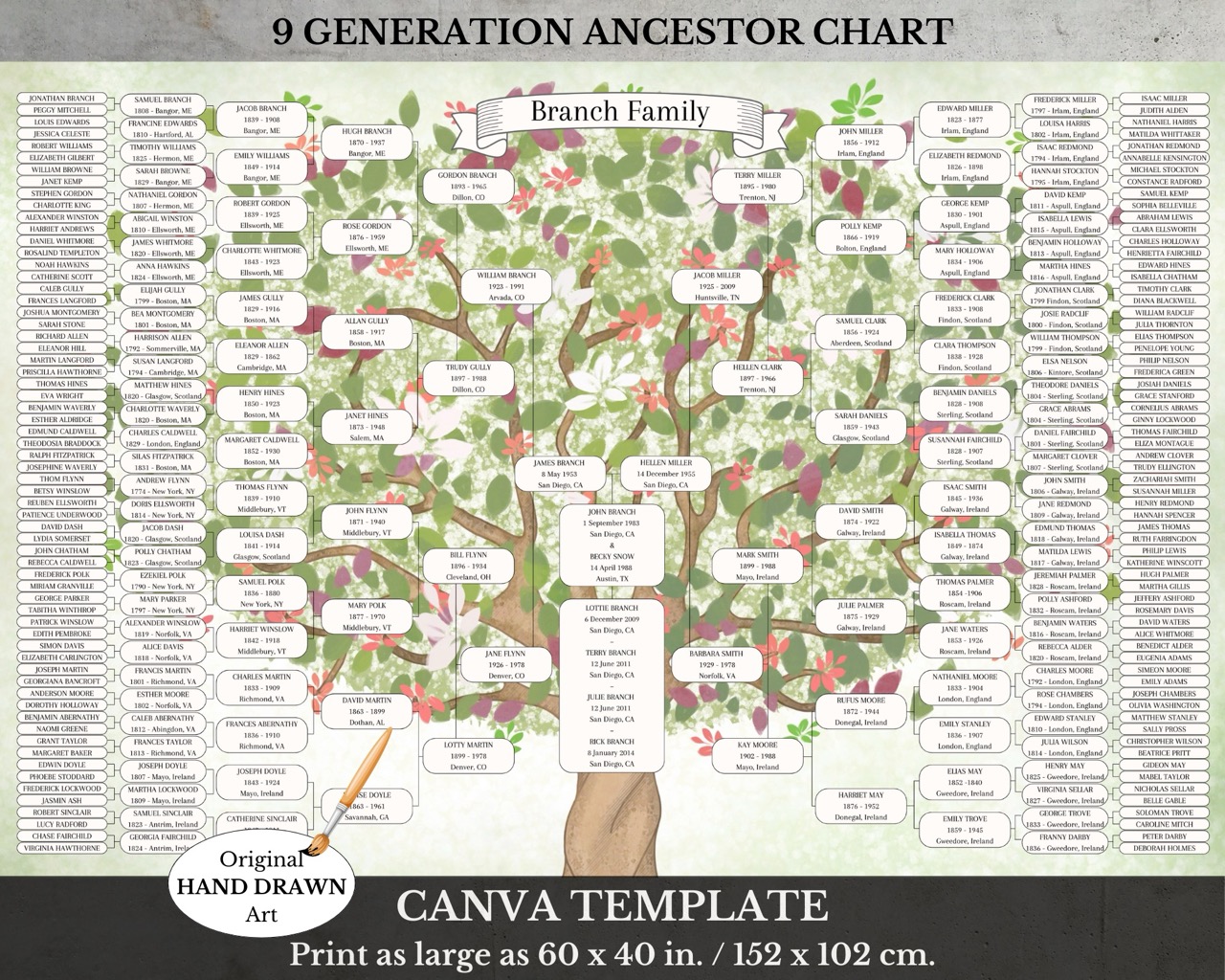9 Generation Pedigree