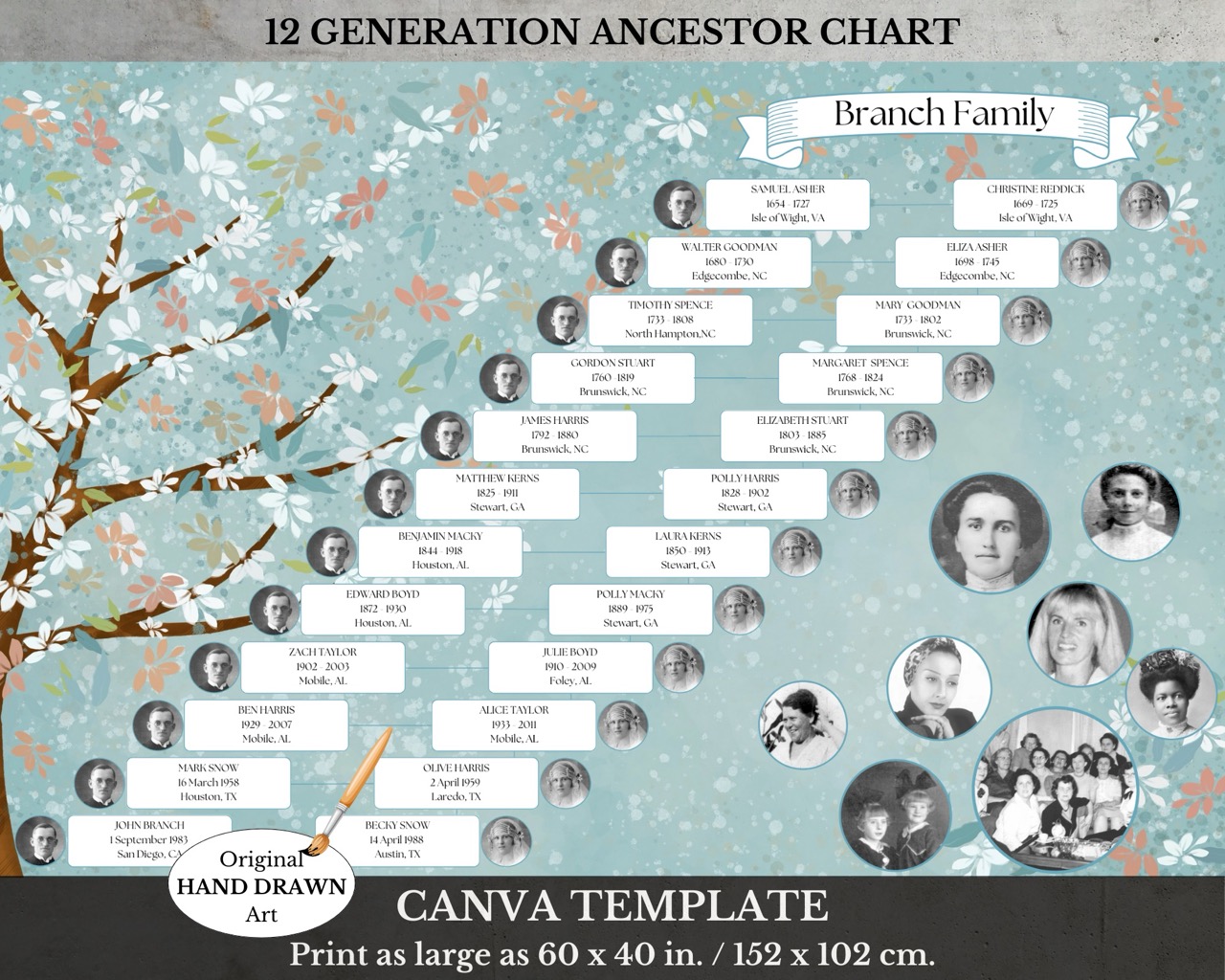 12 Generation Lineage Family Tree
