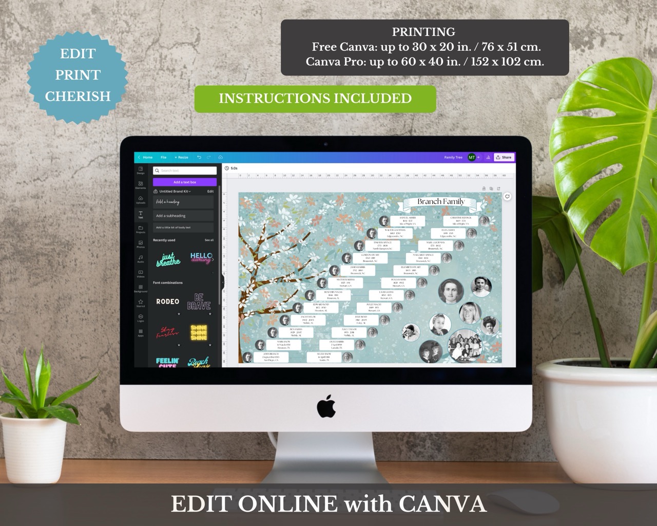 12 Generation Lineage Family Tree