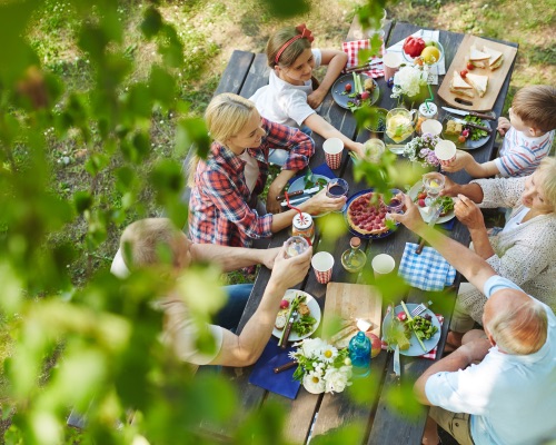 Family Reunion Tips Family Reunion