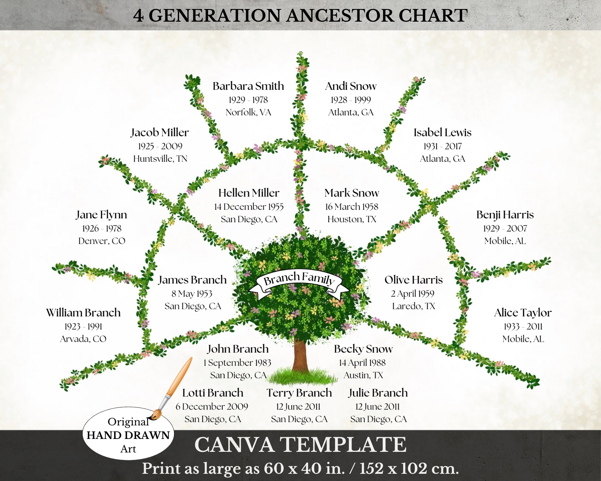 4 Generation Family Tree Fan Chart
