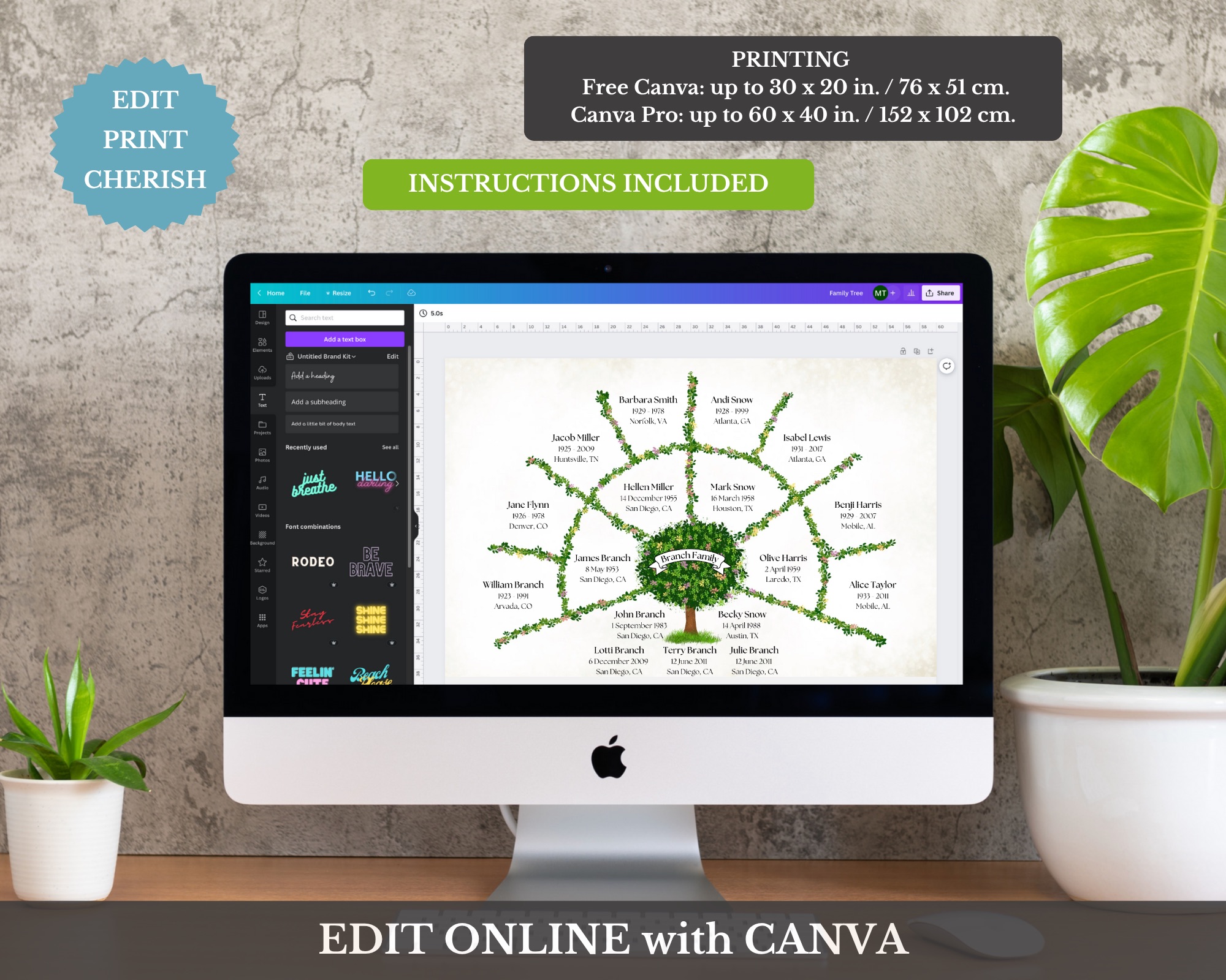 4 Generation Family Tree Fan Chart