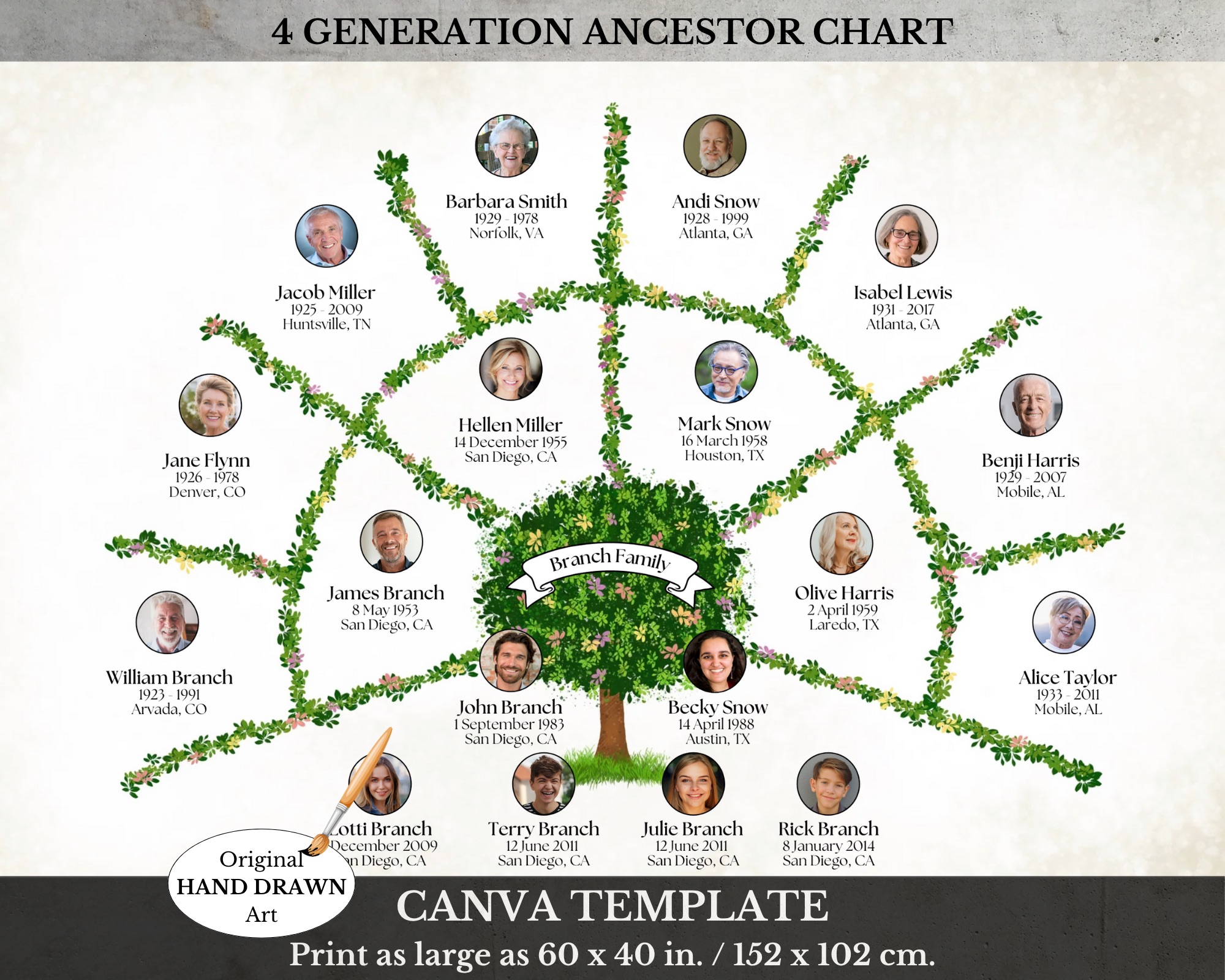 4 Generation Family Tree Fan Chart