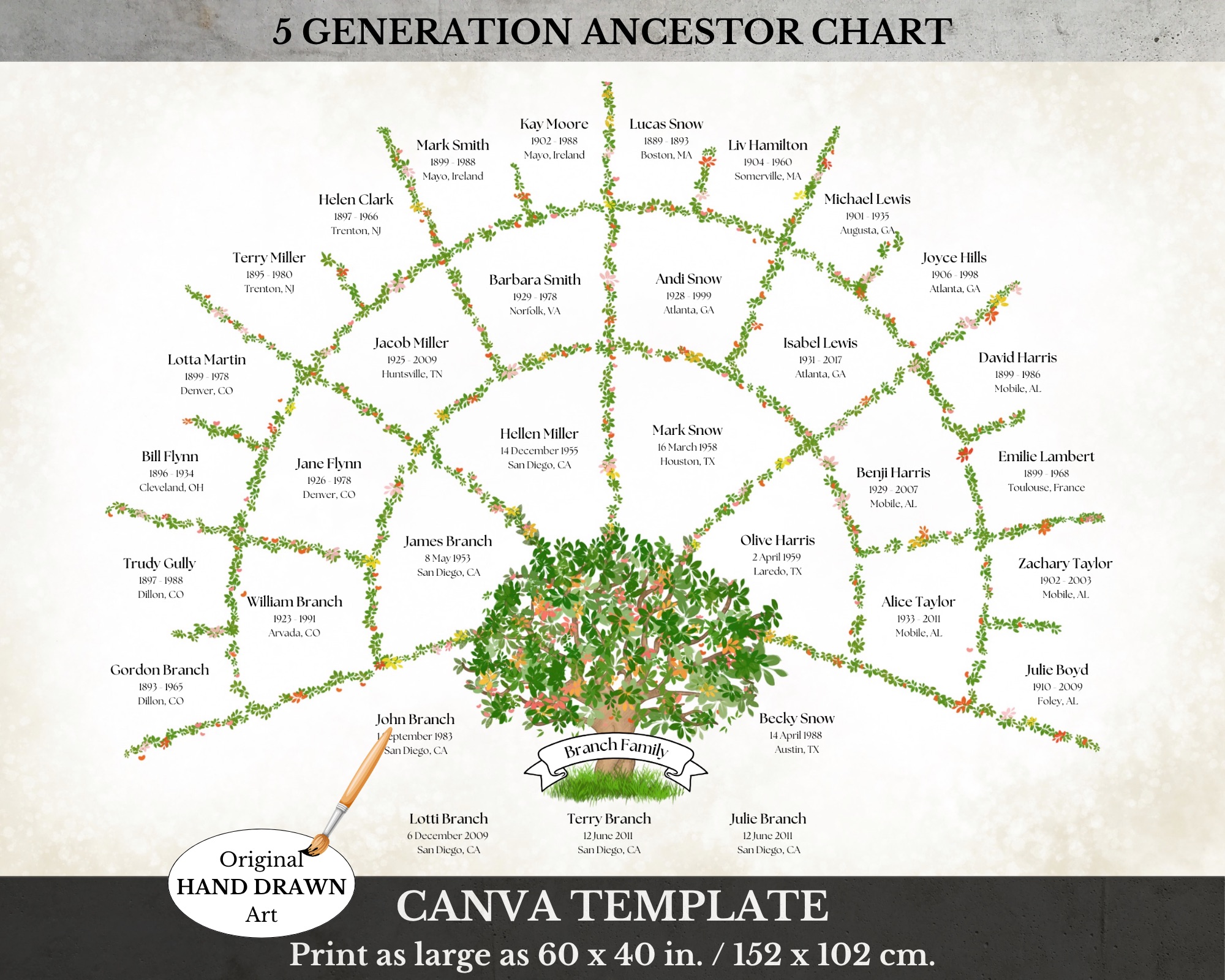 5 Generation Family Tree Chart