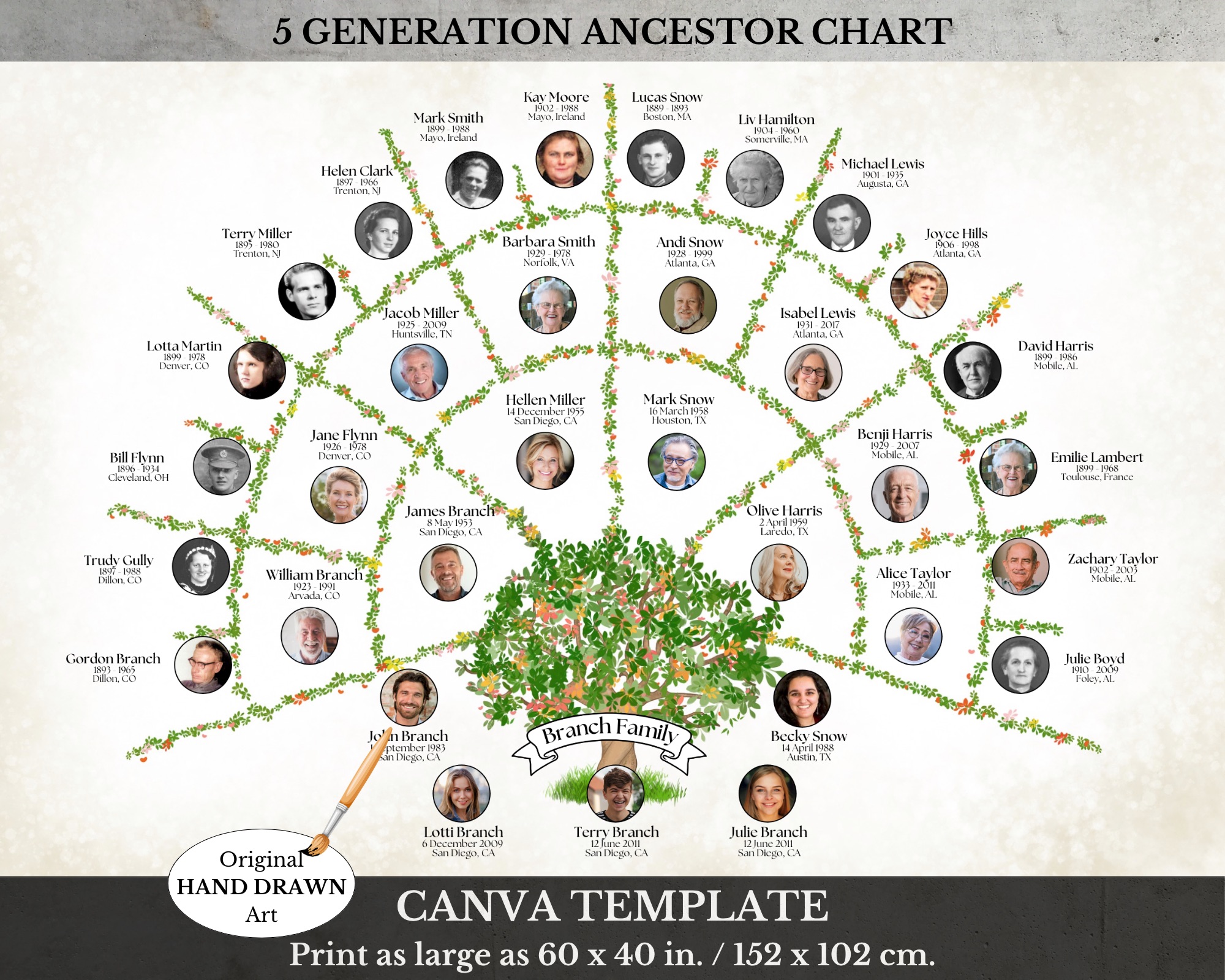 5 Generation Family Tree Fan Chart