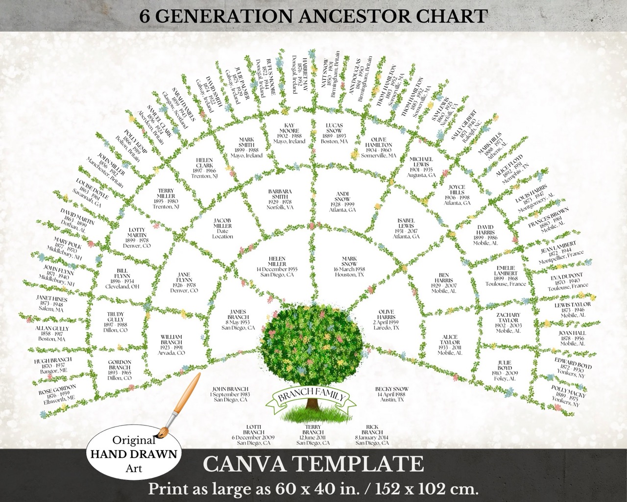 6 Generation Family Tree Fan Chart