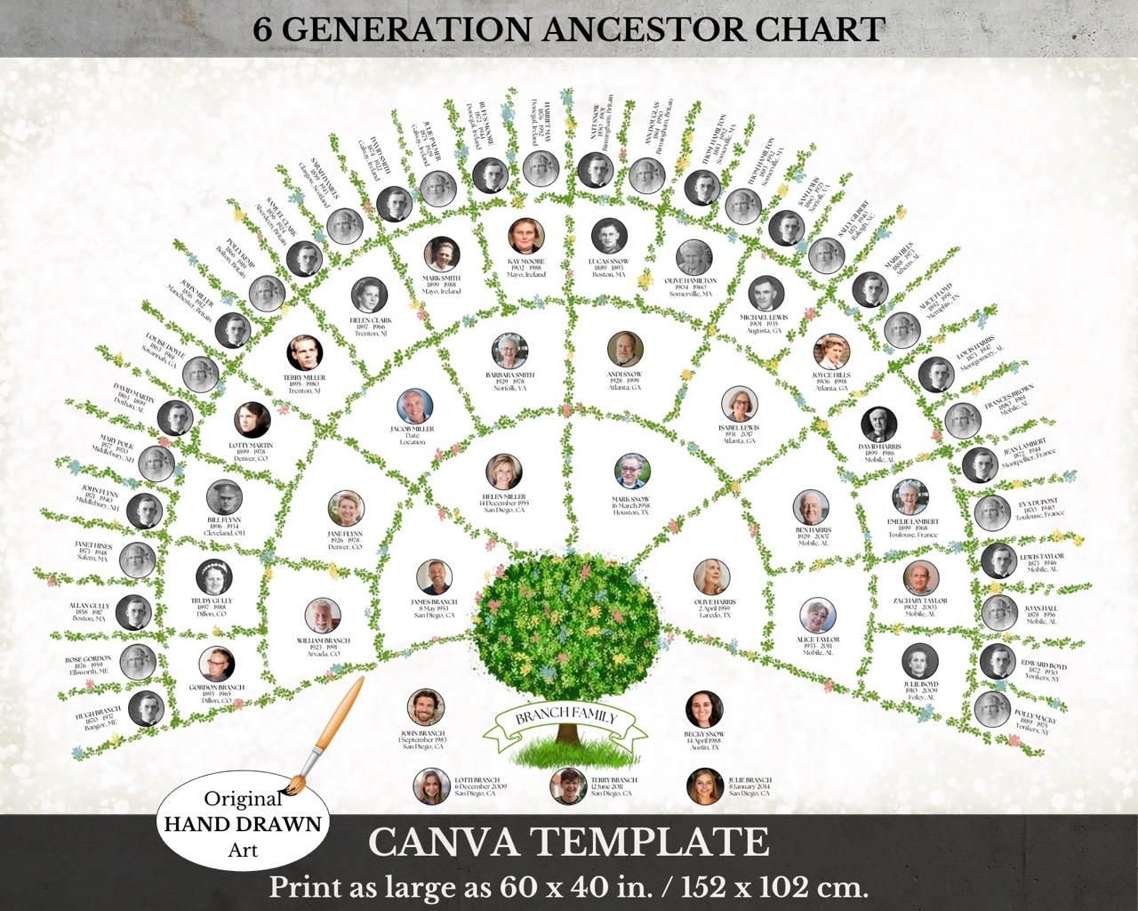 6 Generation Family Tree Fan Chart