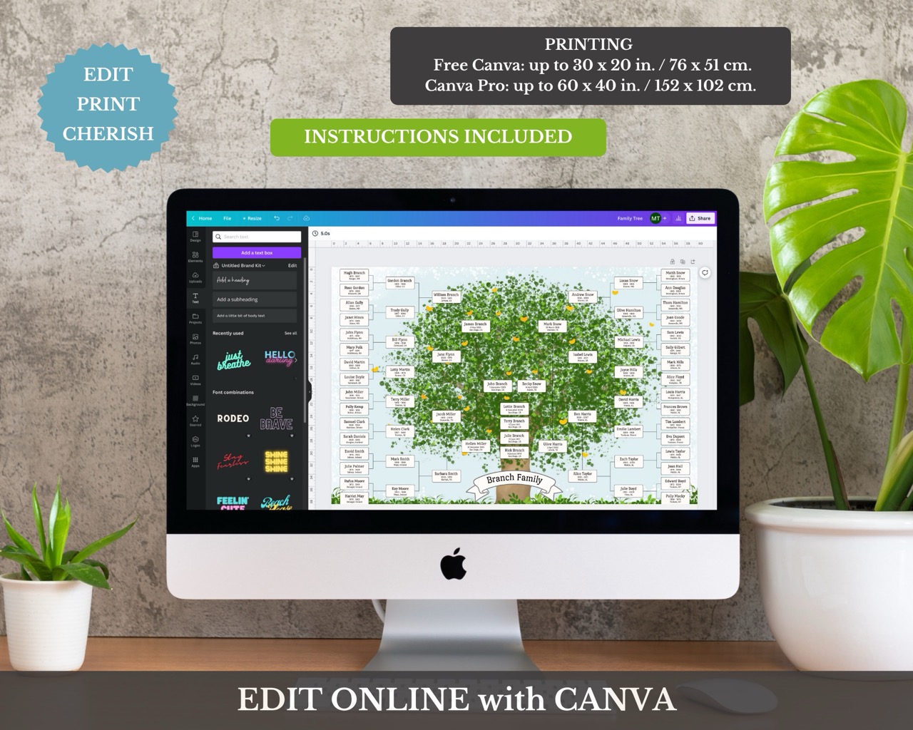 6 Generation Pedigree