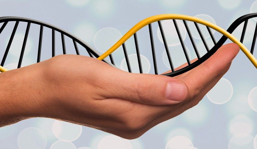 Using DNA as a Research Tool