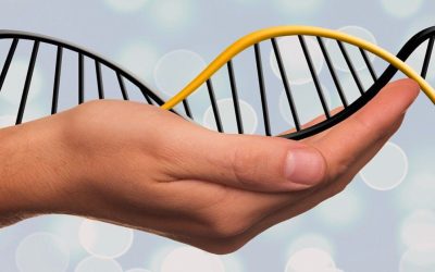 Using DNA as a Research Tool