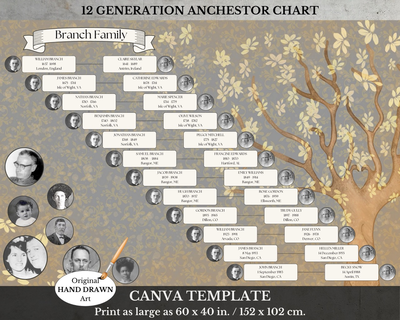 12 Generation Surname Family Tree