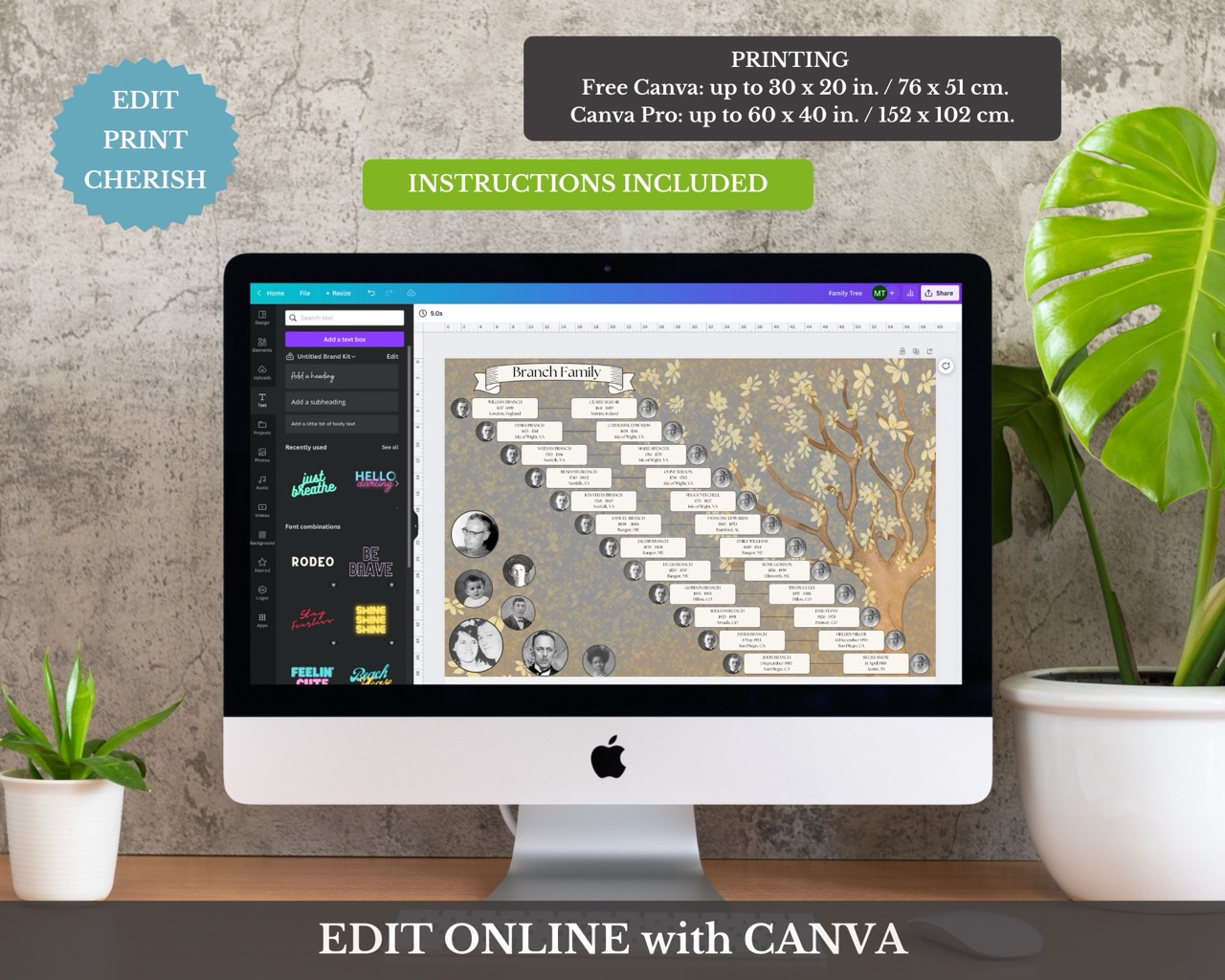12 Generation Lineage Family Tree