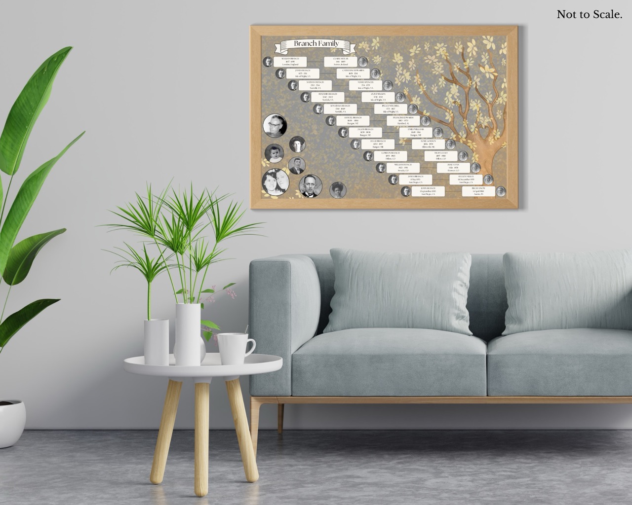 12 Generation Lineage Family Tree