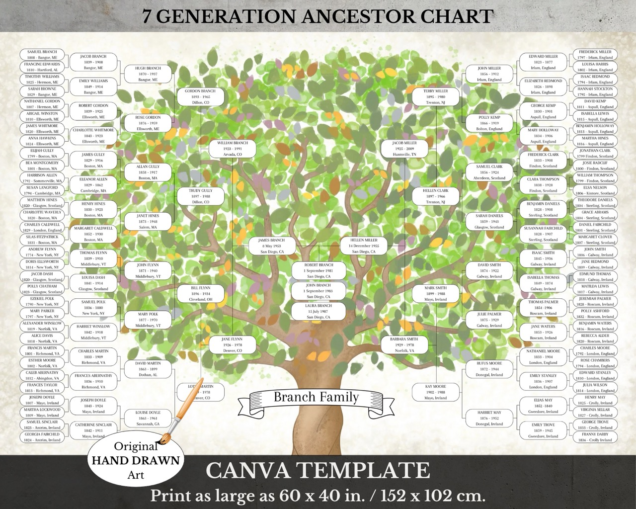 Canva 7 Generation Family Tree