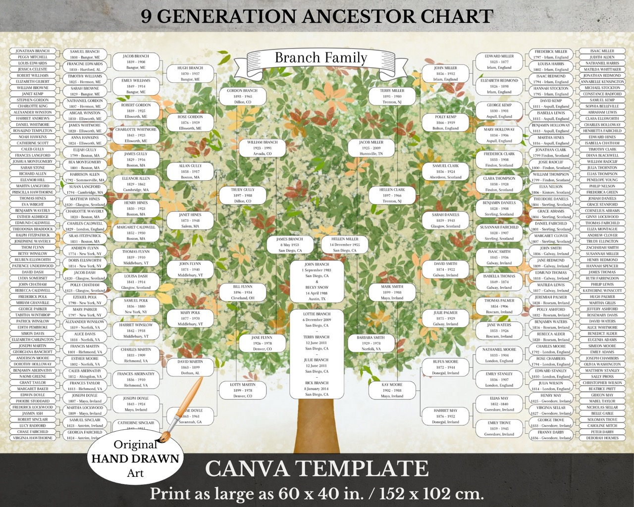 9 Generation Family Tree Canva