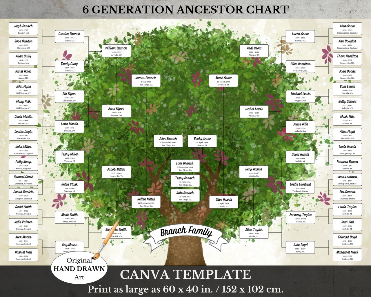 6 Generation Family Tree Poster