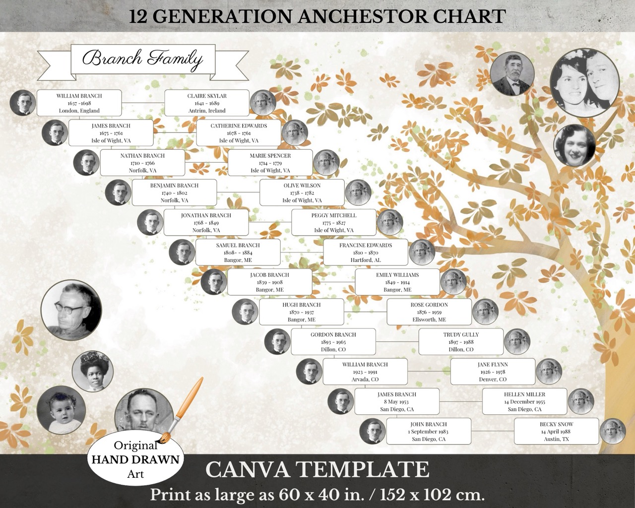 Surname Family Tree