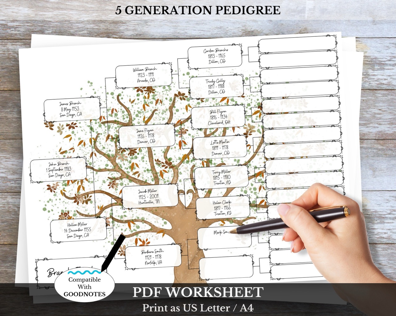 5 Generation Pedigree Chart