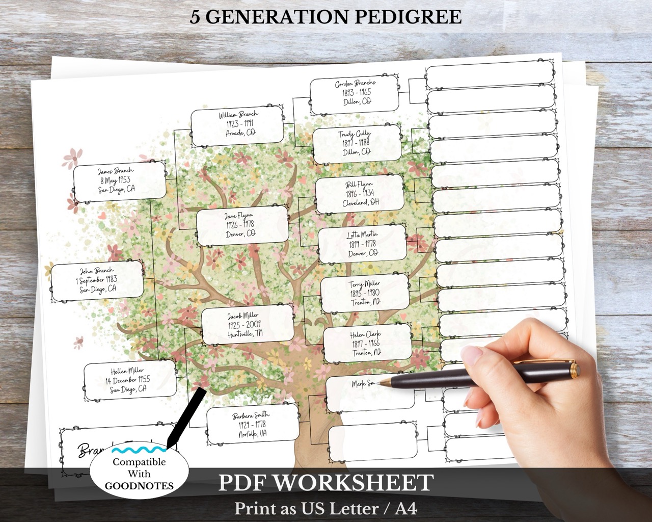 5 Generation Pedigree Chart