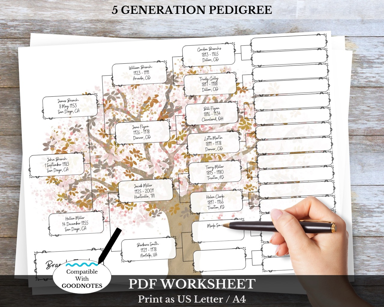 5 Generation Pedigree Chart