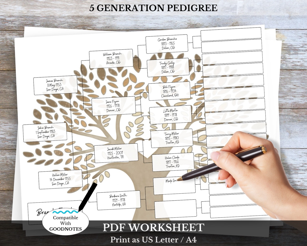 5 Generation Pedigree Chart