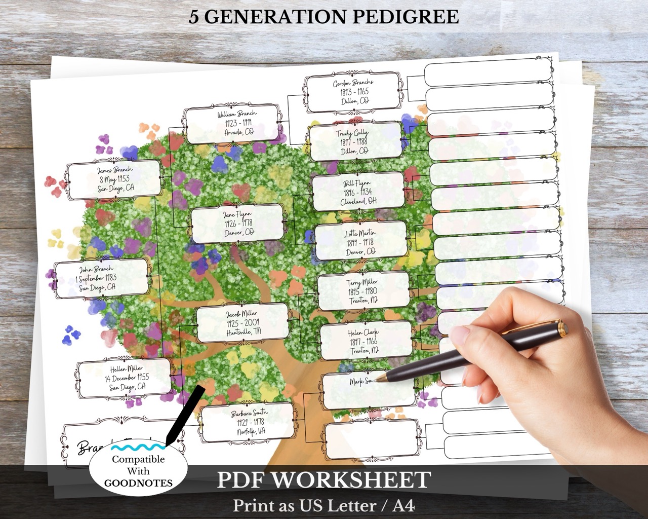 5 Generation Pedigree Chart