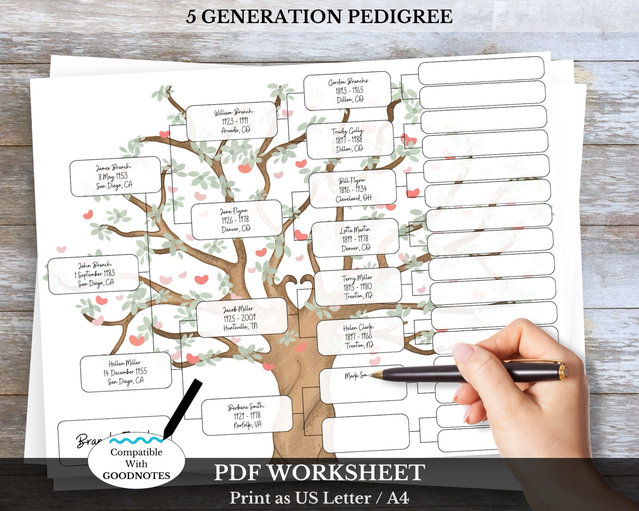 5 Generation Pedigree Chart