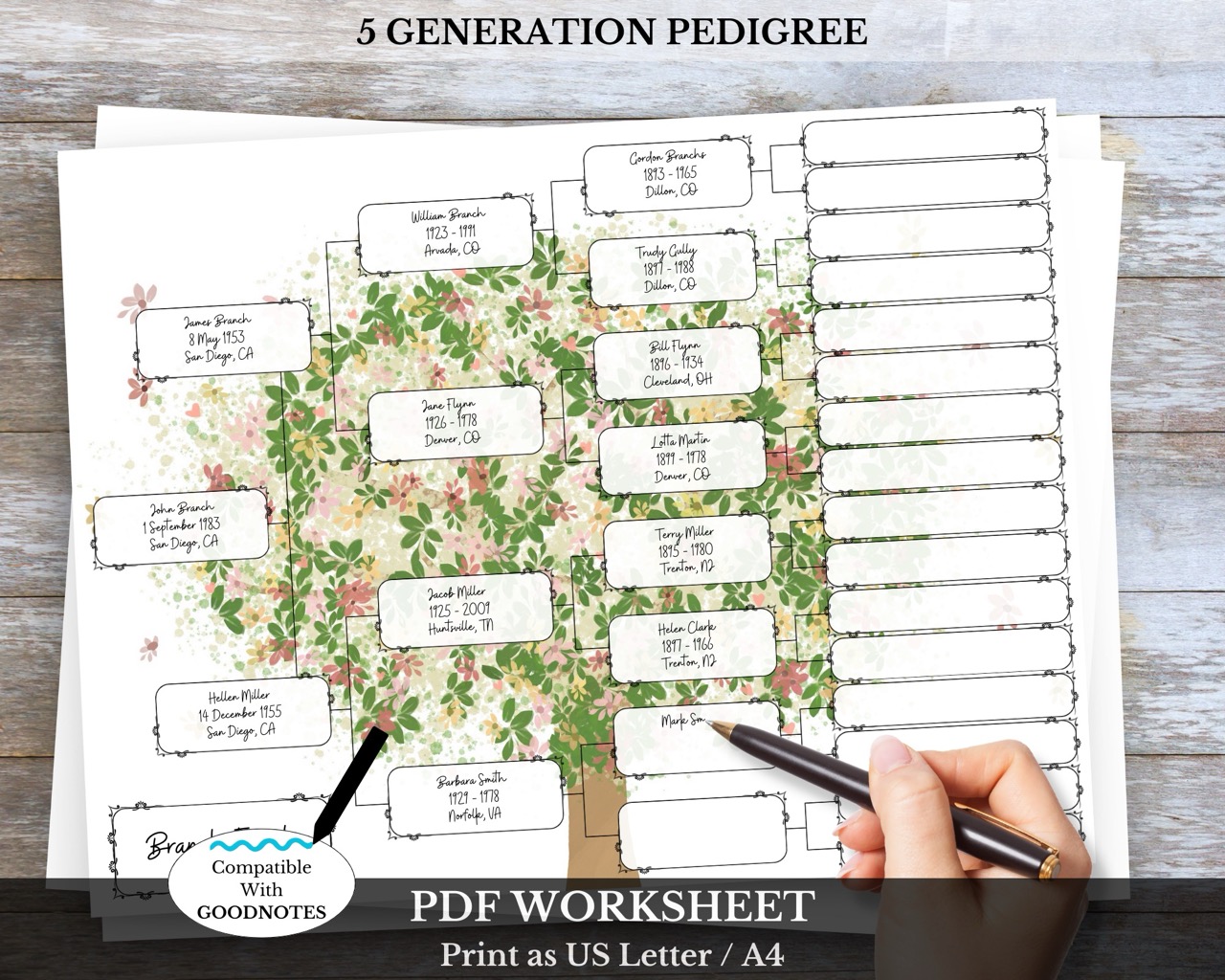 5 Generation Pedigree Chart