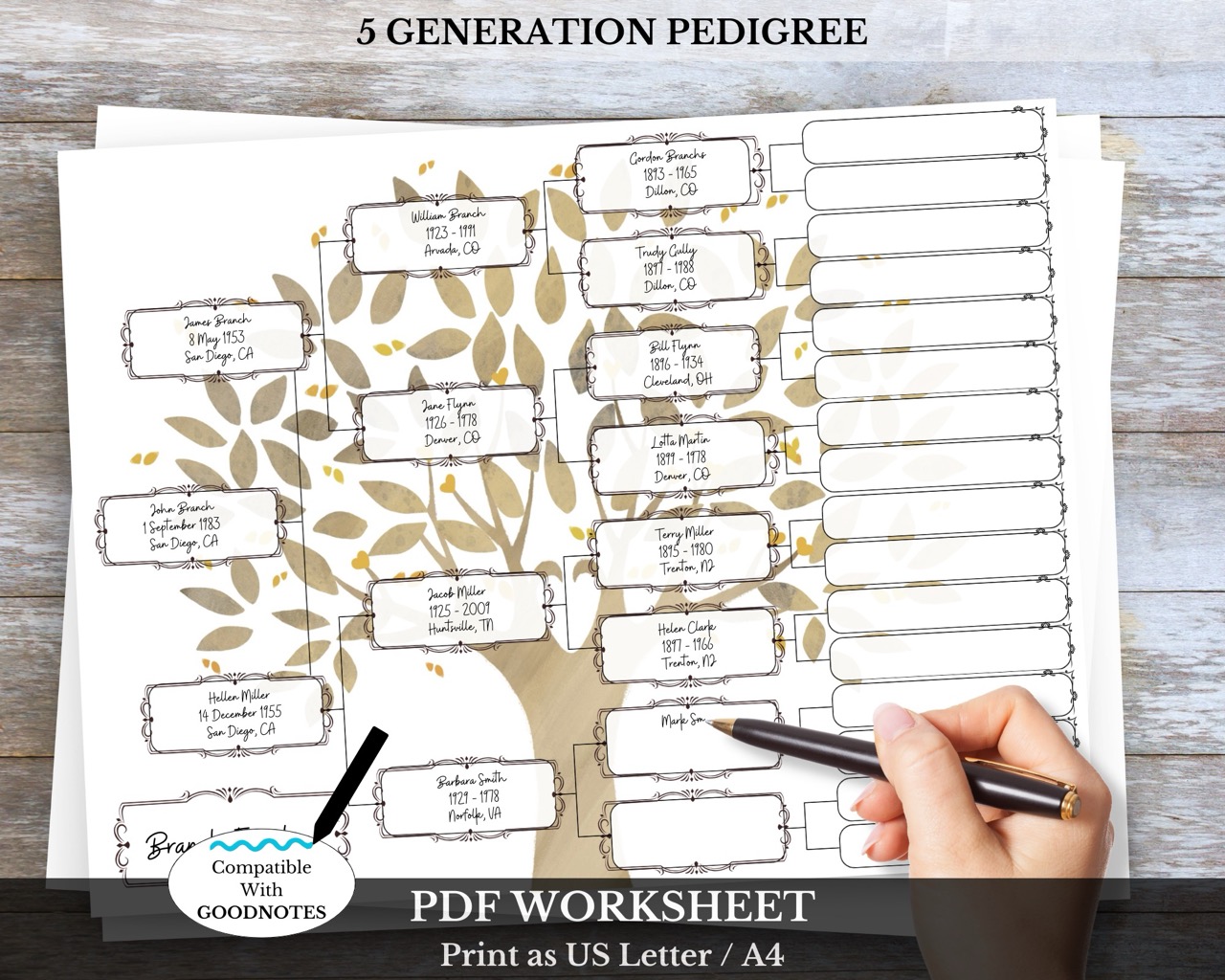 5 Generation Pedigree Chart