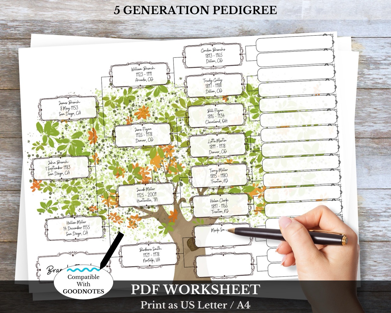 5 Generation Pedigree Chart