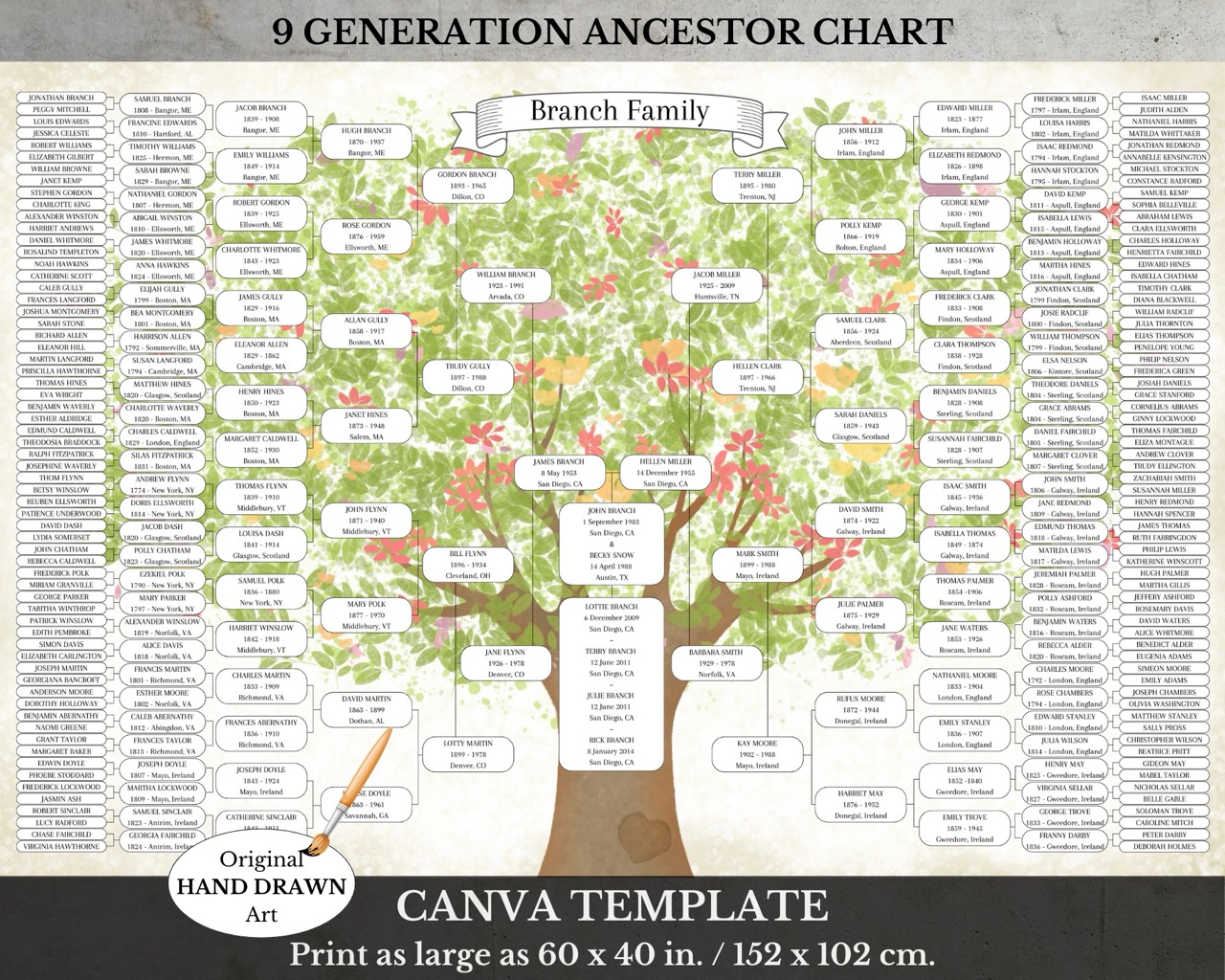 9 Generation Family Tree Canva