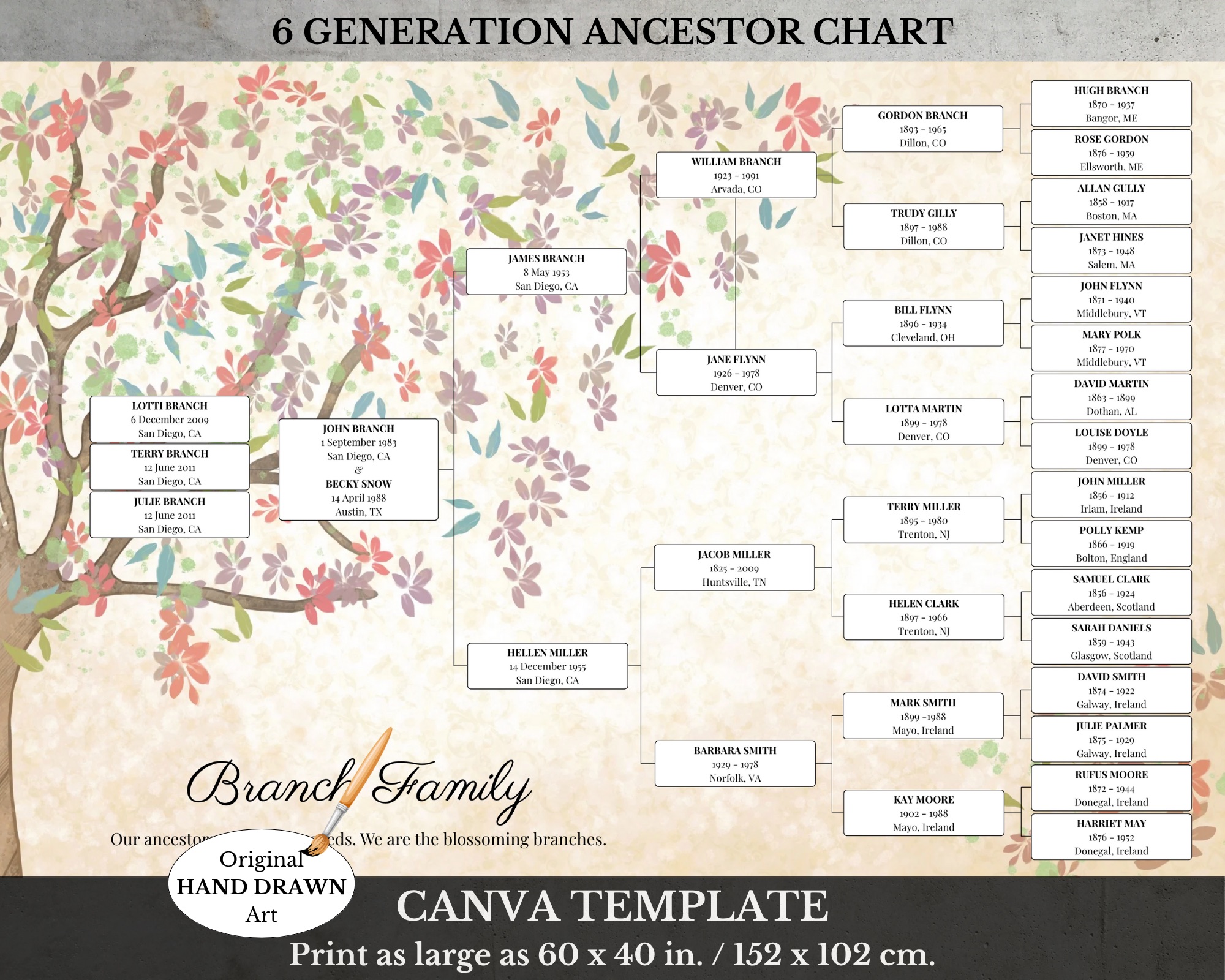 6 Generation Family Tree Canva Template