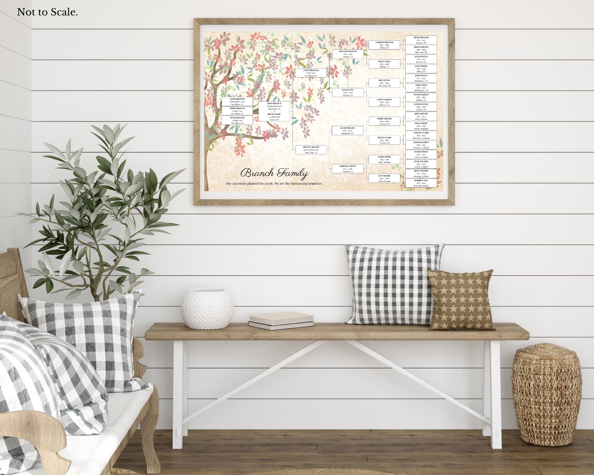 Family Tree Canva Template