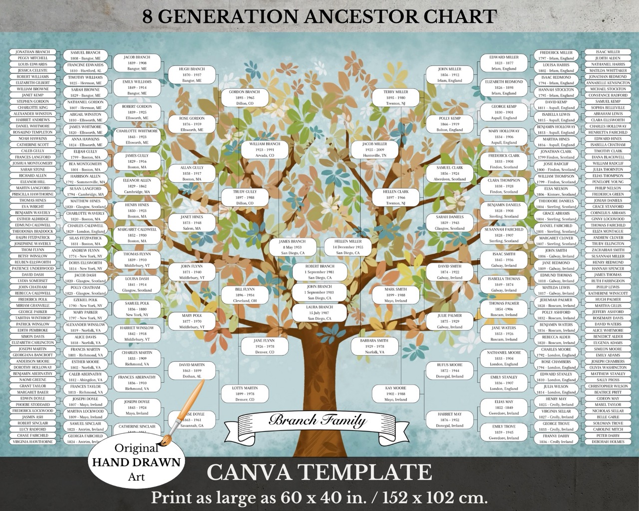 8 Generation Family Tree Template