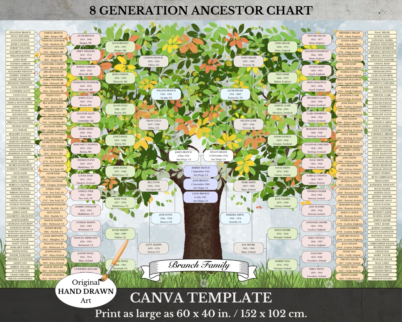 Canva 8 Generation Family Tree