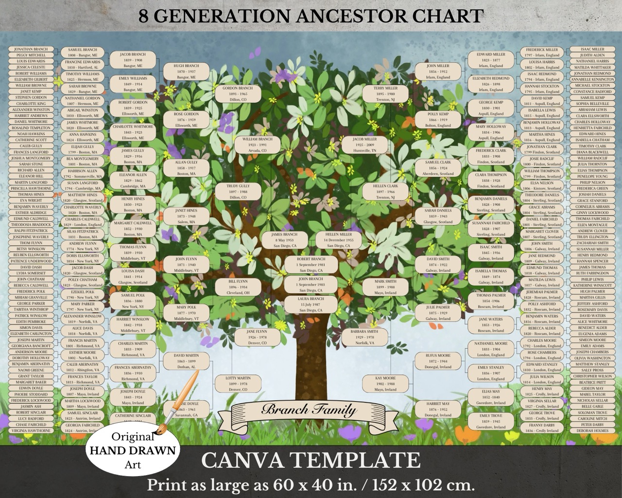 8 Generation Family Tree Template
